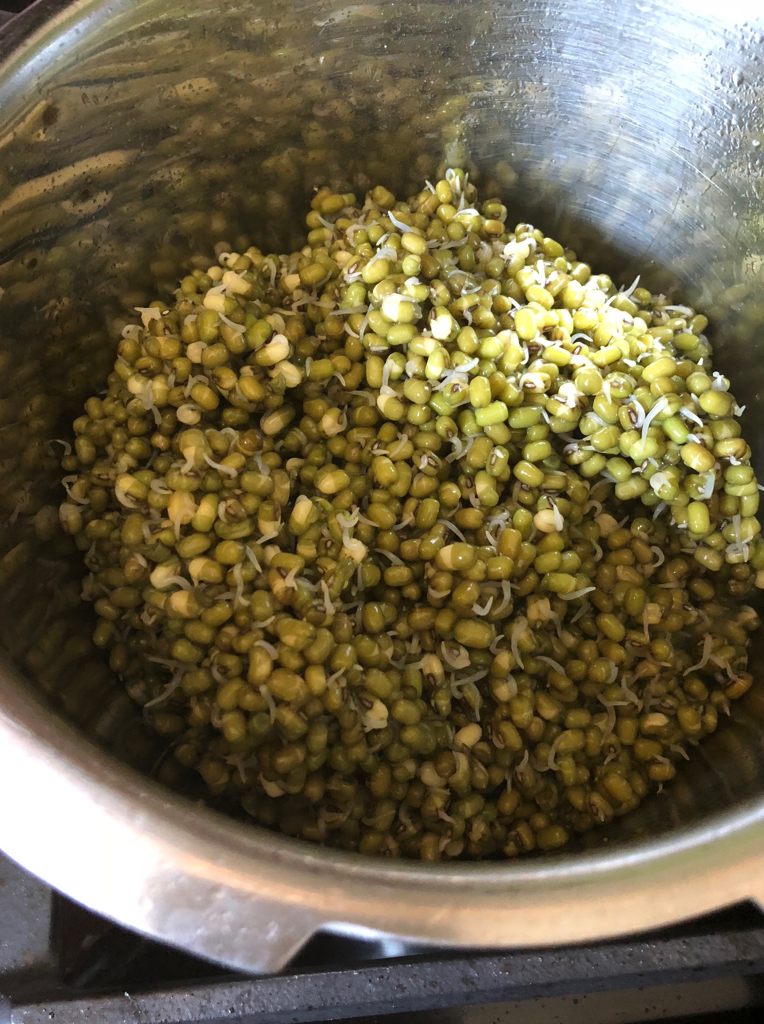 mung beans are in an Instant Pot. They look like a vibrant green with bits of white.