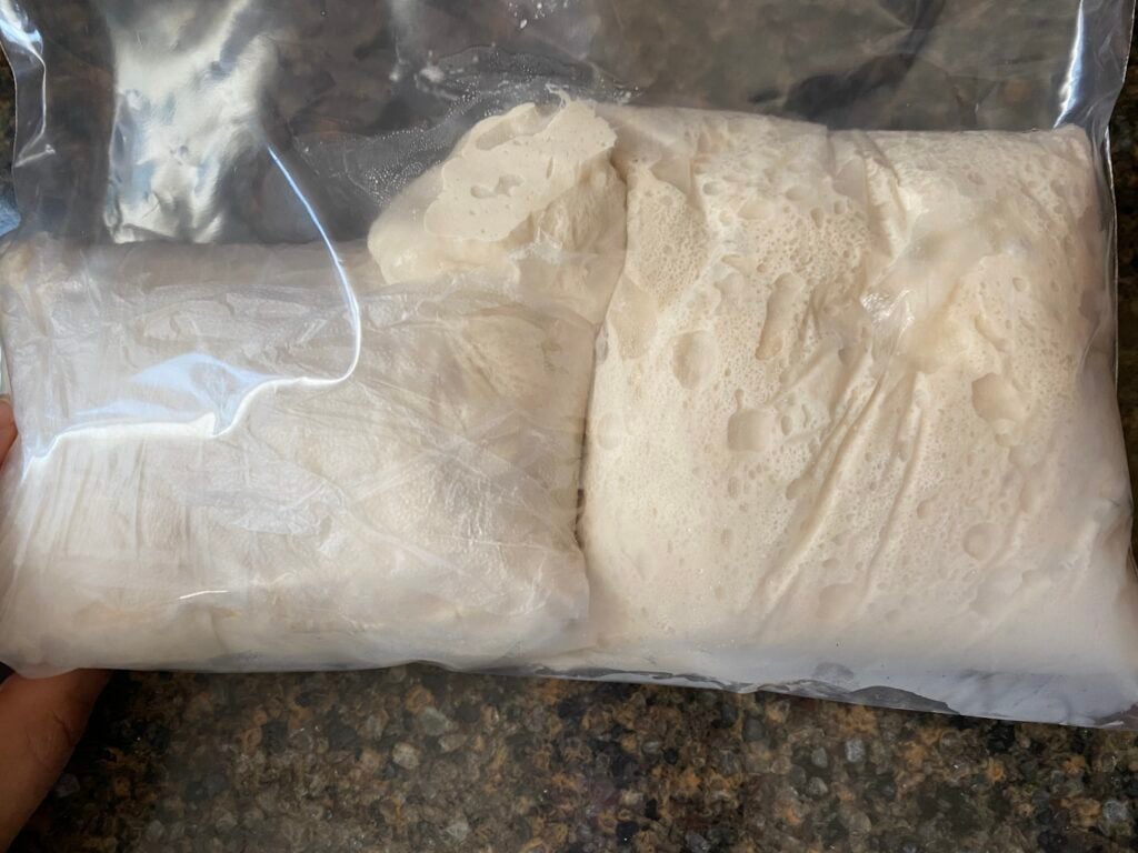 Pizza dough stored in a plastic bag